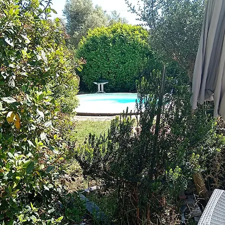 Avec Terrasses Et Jardin En Rdc De Bastelicaccia